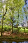 Dans les arbres se cachent des objets !