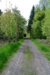Passage en forêt, Le Fauvez