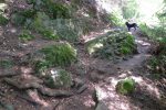 Puis une longue traversée en forêt, bienvenue vue la chaleur