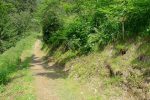 Le chemin sort de la forêt, mais je fais un détour dans mon dos ...