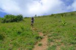 Les vaches suivent ce sentier, costauds les vaches locales !