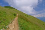 Puis le chemin redevient doux, à flanc de coteau