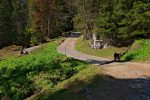 A 1600m, on bifurque sur la gauche pour le chemin pédestre