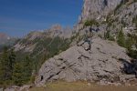 Cet arbrisseau est bien courageux sur son rocher !