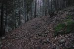 Passage en forêt qui monte bien, j'y perdais mon souffle vu mon rythme.