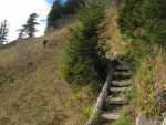 Le chemin monte plus ou moins régulièrement avec parfois des aménagements