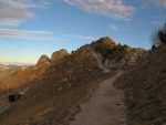 Et nous repartons par le large chemin vers le Jardin Alpin