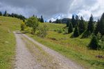 On quitte la forêt