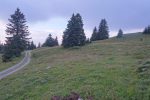 Avec peine, je trouve le chemin, peu visible à droite de la photo