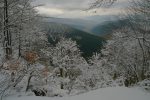 Vue sur la vallée de Munster, la plus belle de la balade !