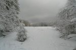 On sort de la forêt, sur le plateau des Trois Fours