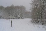 Puis la dernière forêt à traverser