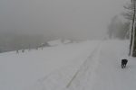 On suit une piste de luge d'été