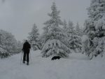 On sort de la forêt