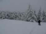 Et on rerentre dans la forêt