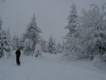 Toujours magnifique ce passage en clairière entourée d'arbres
