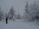 Toujours magnifique ce passage en clairière entourée d'arbres