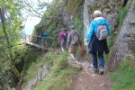 Sentier un peu étroit, mais confortable