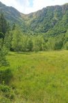 Tourbière de Frankental