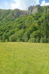 Tourbière de Frankental