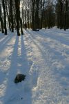 Les bornes dépassent de la neige