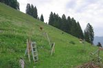 On passe l'échelle pour monter en direction de la forêt