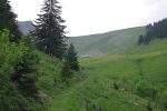 On sort de la forêt avec Ecossala en vue