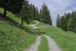 On a passé Orgevaux et on est sur la route d'alpage. On continue sur celle de droite