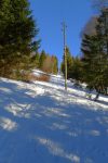 On rentre dans la forêt