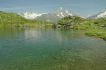 Ce même lac (il y a des tritons)