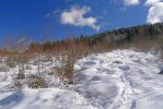 Je suis les traces d'un skieur