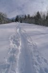 Bonheur de retrouver une trace