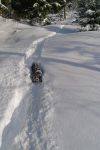 Heureusement que le chien est noir, je pourrai le perdre de vue ! Vue arrière