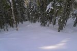 En forêt