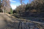 Le chemin est bien labouré par les machines et on va bientôt rentrer en forêt