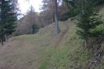 On quitte cet alpage pour remonter dans la forêt vers le Col du Tronc