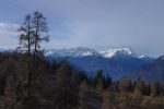 Depuis Le Tronc, belle vue sur les Dents du Midi ...