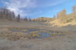 La gouille du Lein ou "Le Goilly du Lein" 1650m. Il y a un panneau d'informations nous indiquant que ce marécage a été asseché pendant 60 ans et remis en eau en 1992. C'est donc un biotope protegé. On trouve des informations sur le site du Sentier des Mines, section .