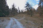 Après cette gouille, on quitte la route forestière pour le chemin de droite, en direction de Les Bouillets