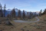 On passe au Col du Tronc 1606m. Notre sente continue dans le paturage, donc sur la gauche (avec seulement