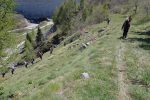 Raccourci pour éviter la route