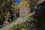 On monte dans un chemin de forêt