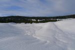 Au milieu de la forêt, on voit une tranchée qui sera notre passage