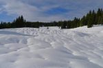 Joli