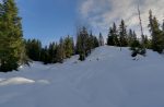 On traverse à nouveau la forêt.
