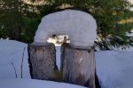 Arche temporaire.