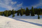 Je coupe un virage de la piste de ski de fond et monterai dans la forêt
