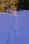 Je trouve des traces que je suis