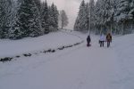 La clairière du Chalet du Mollendruz