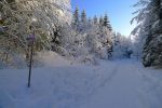 Combe de la Neige qui ce jour porte fort bien son nom